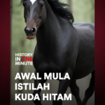 Makna 'Kuda Hitam', 'Bebek', dan 'Kambing Hitam' dalam Lingkungan Tim Kerja